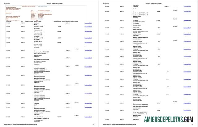 Extrato de conta limitado do Paquistão Meezan Bank para impressão, modelo Word e PDF, 2 páginas